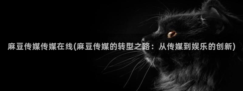 麻豆亚洲无矿砖码专区