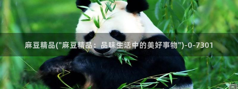 麻豆作品：麻豆精品(\