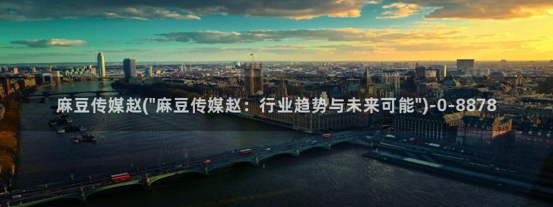 亚洲麻豆专区：麻豆传媒赵(\