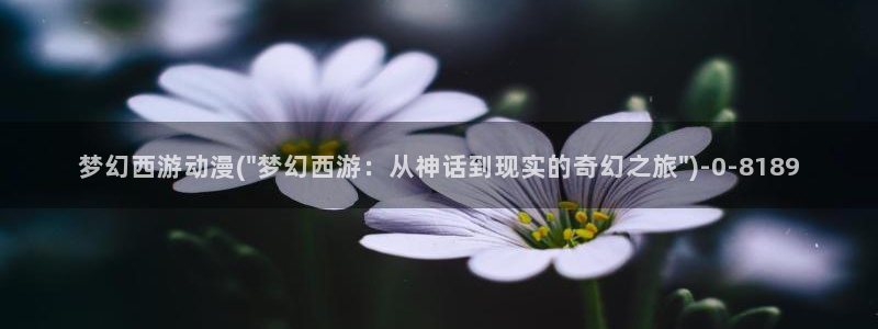 二次元动漫