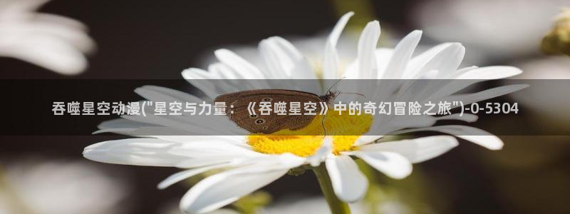 露点动漫