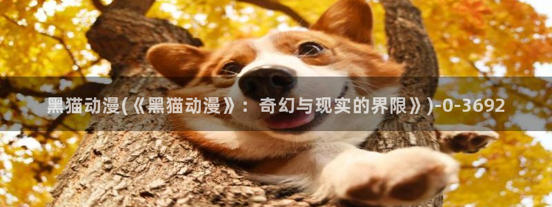 动漫社