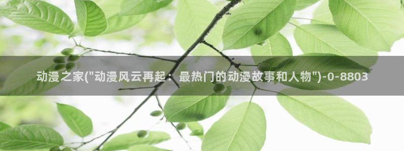 动漫网