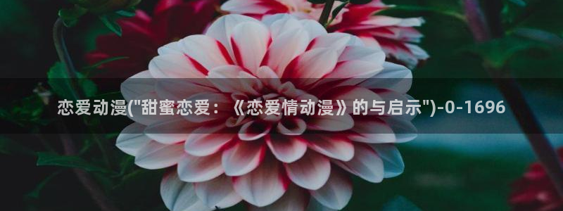 动漫免费在线观看