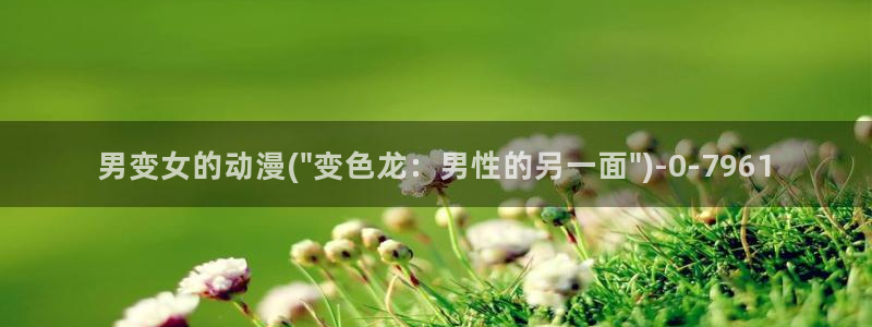 肉番动漫