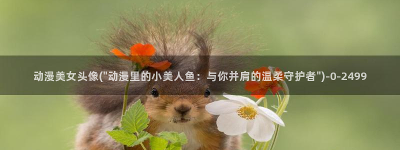 免费动漫网